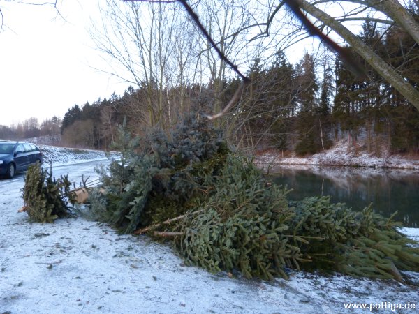 Weihnachtsbaumverbrennen 2013